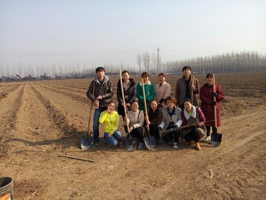 博農(nóng)集團(tuán)領(lǐng)導(dǎo)、基層黨政負(fù)責(zé)人等同志積極參加植樹活動